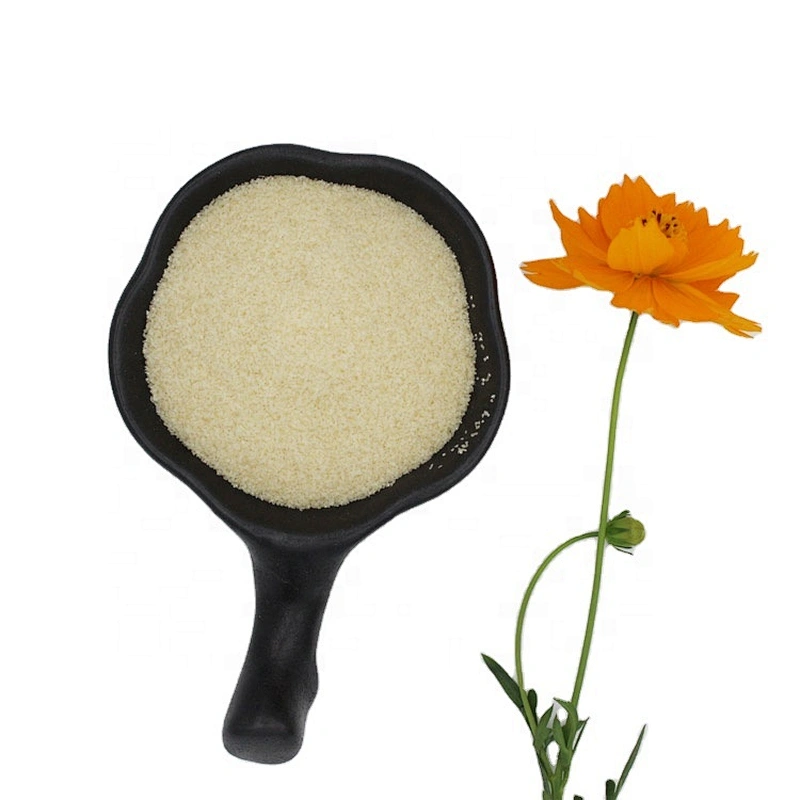 Food Grade Thickener Gelatin at The Best Price